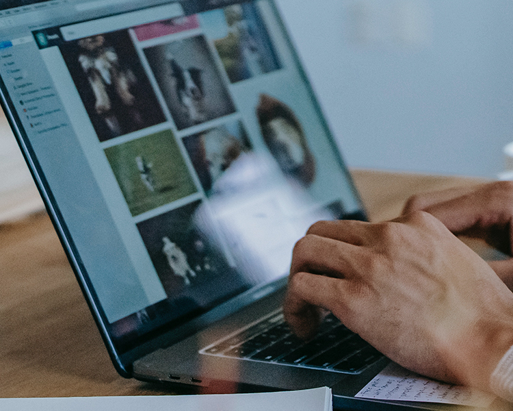 Ó¢¹ú¡¤ÍþÁ®Ï£¶û(williamhill)ΨһÖÐÎĹٷ½ÍøÕ¾