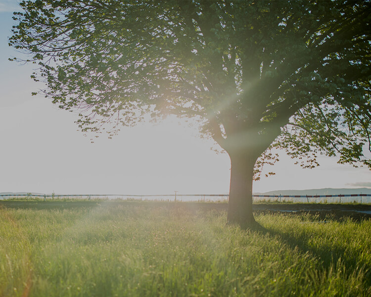 英国·威廉希尔(williamhill)唯一中文官方网站